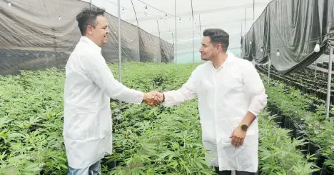 Empresa Panacea – Aislado de la red